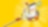 shell Go+ yellow banner