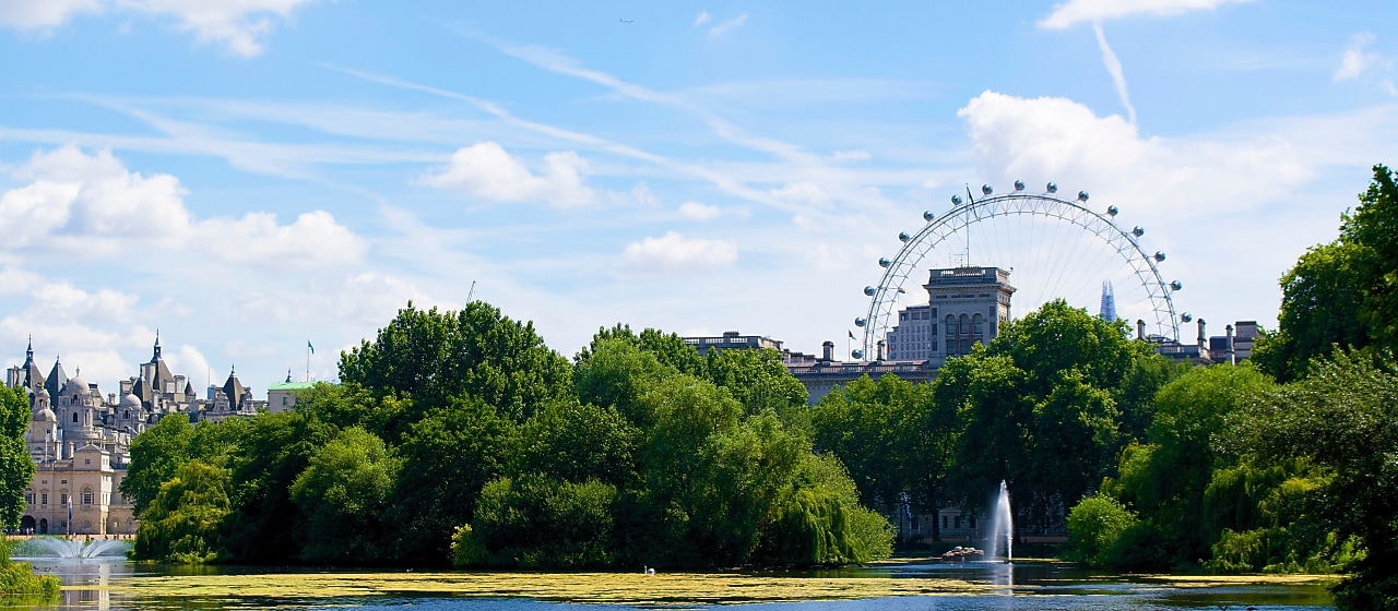 Jessica Interview Banner