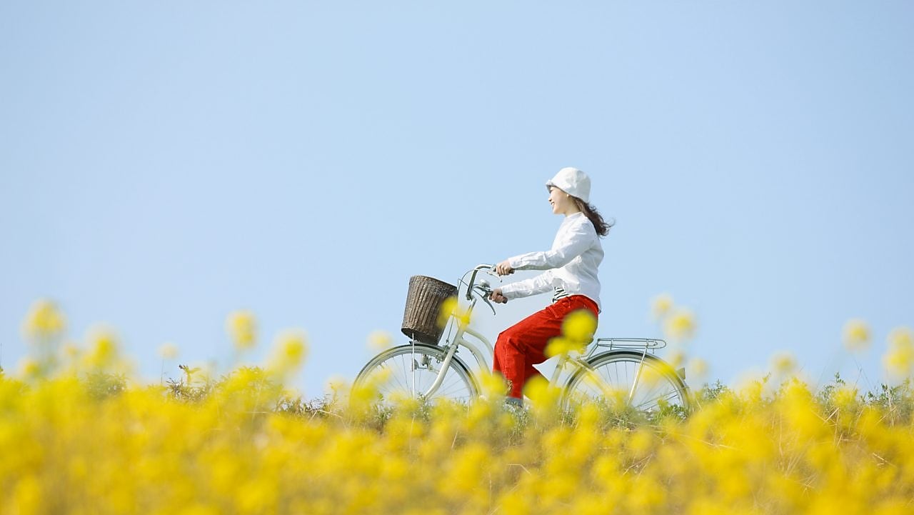 Read more about website accessibility