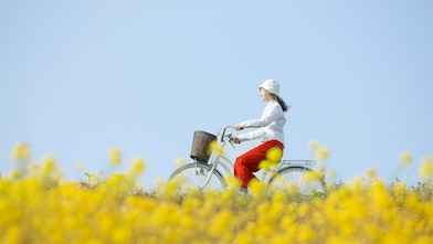 Read more about website accessibility