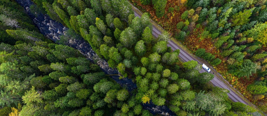 Glengarry forest aerial view of road