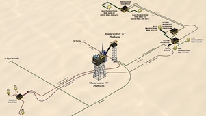 Scoter and Merganser