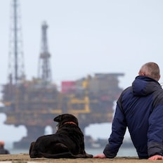 One man and his dog marvel at the scale of Brent Delta passing by