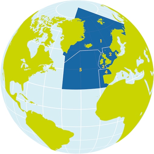 Brent Field Recommendations