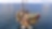 Brent decommissioning programme