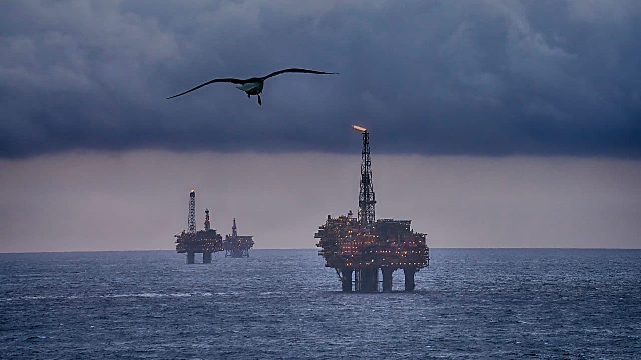 Brent Field Pipelins