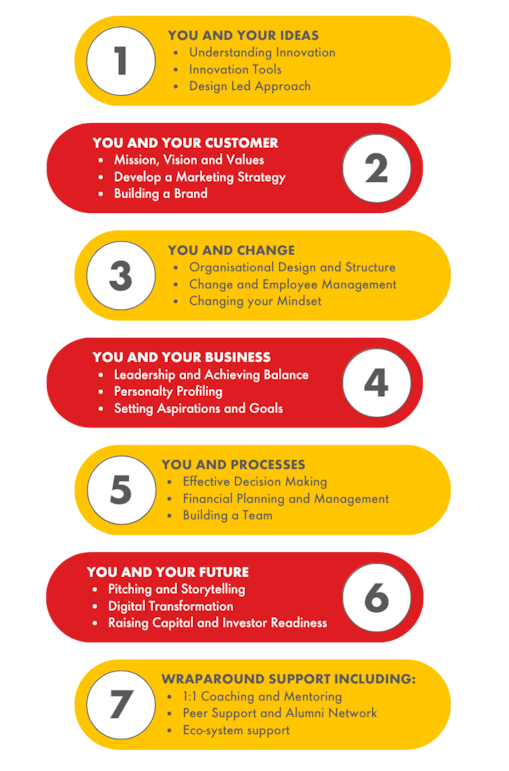 The programme infographic
