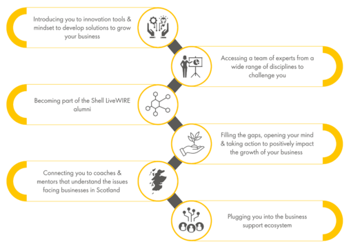 Overview infographic