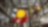 Shell’s CCS projects around the world 
