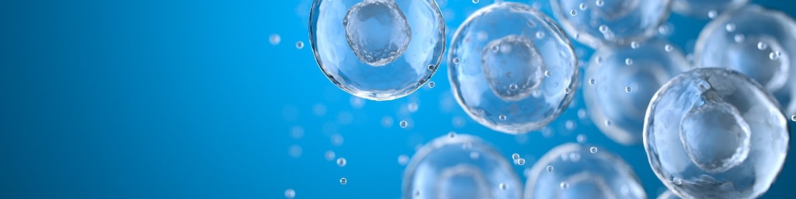 Hydrogen Power - Renewable Energy