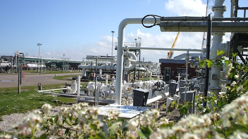 Gas plant with environment