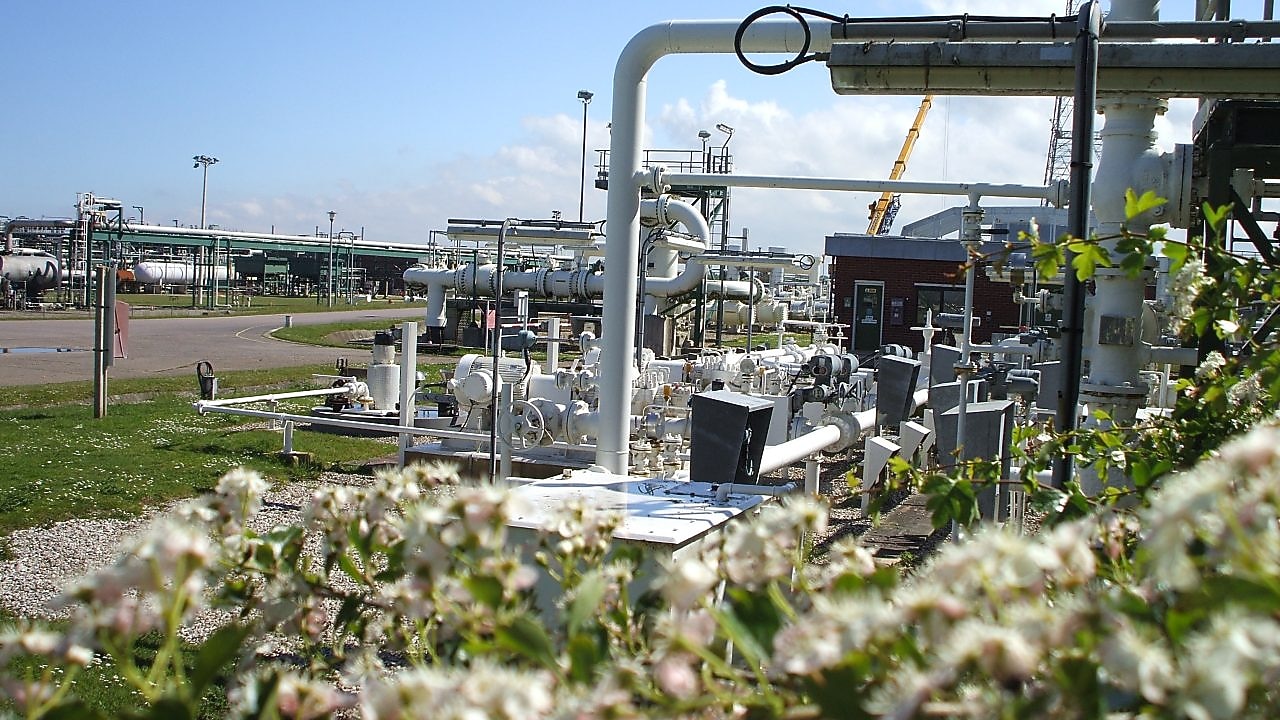 Gas plant with environment.