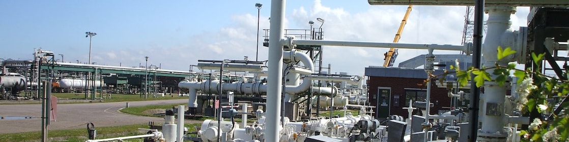 Gas plant with environment