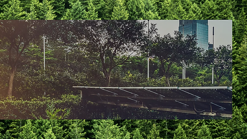 Solar panels on roof surrounded by trees