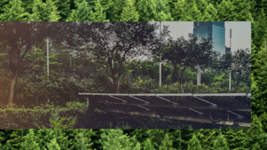 Solar panels on roof surrounded by trees