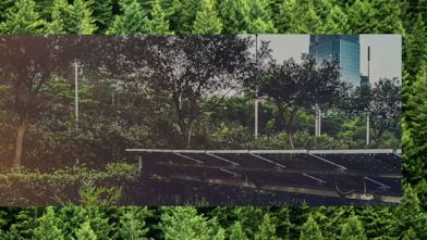 Solar panels on roof surrounded by trees