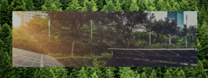 Solar panels on roof surrounded by trees