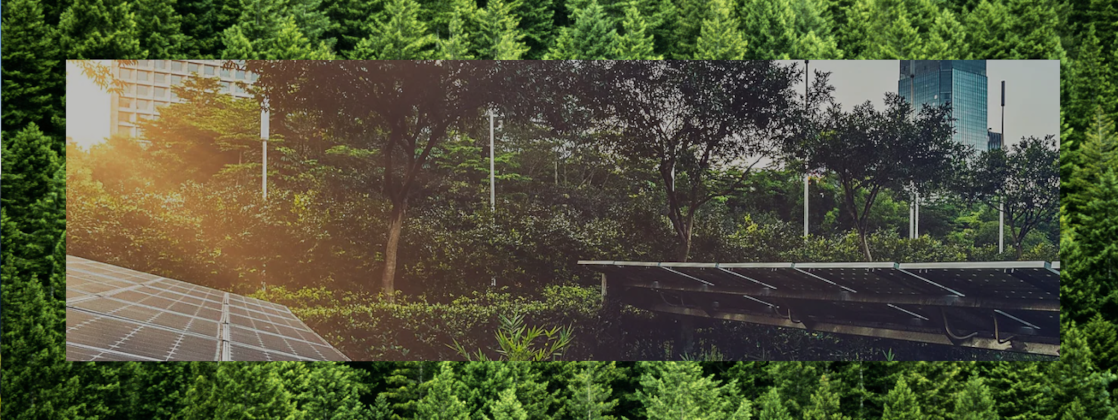 Solar panels on roof surrounded by trees