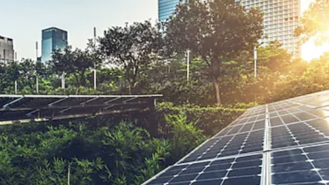 Solar panels in a city scape with trees