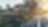Solar panels in a city scape with trees