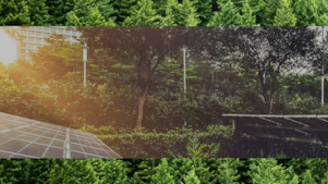 Solar panels on roof surrounded by trees