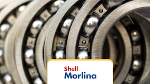 Shell Morlina