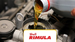 SHELL RIMULA