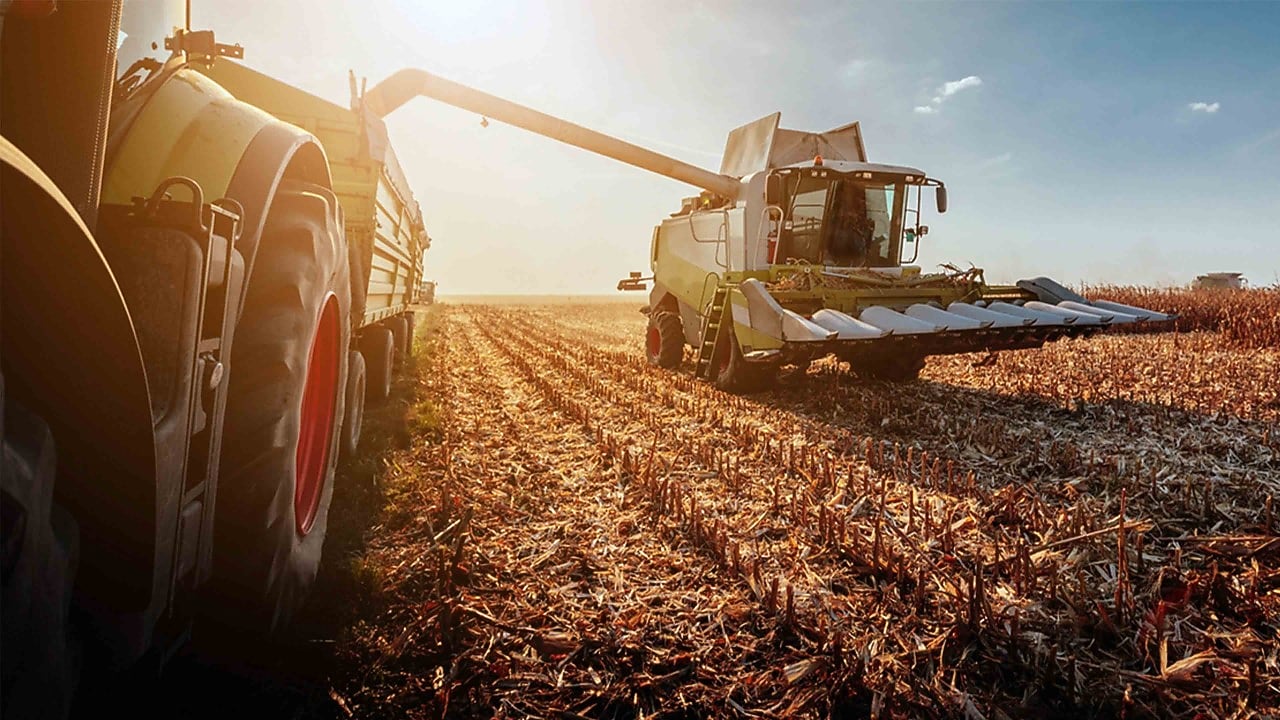 A combine harvester unloading harvested crops into a tractor trailer in a sunlit field