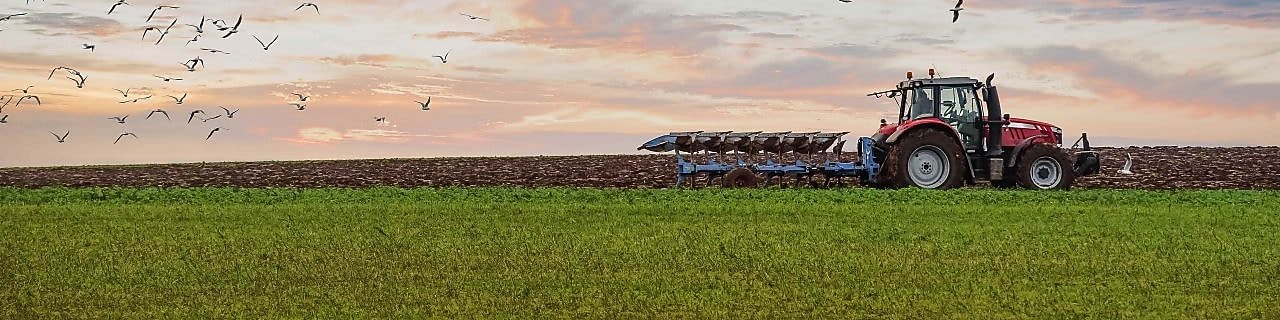Aerial view of combine harvesting wheat
