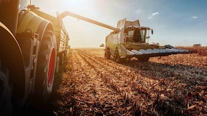 A combine harvester unloading harvested crops into a tractor trailer in a sunlit field