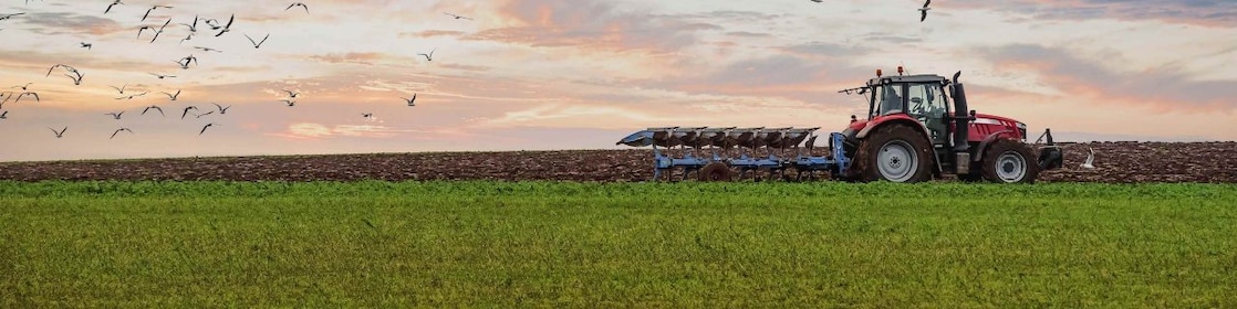 Aerial view of combine harvesting wheat