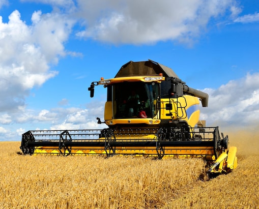 Yellow combine harvester in a field of wheat