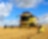 Yellow combine harvester in a field of wheat
