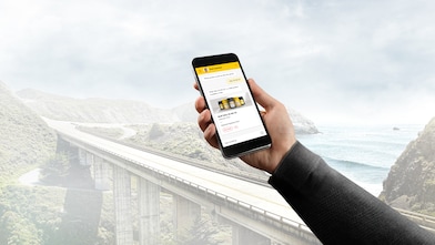 online lubechat device