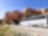 2 white trucks driving towards the camera