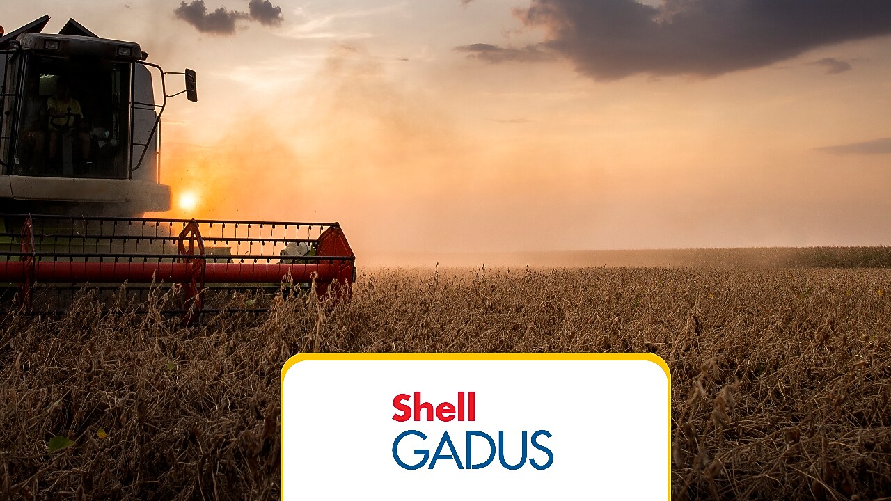 Closed up macro, ball bearing put into yellow transparent lithium grease isolated on white background with copy space, engineering and industrial concept