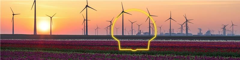 Lubricants for Wind Power