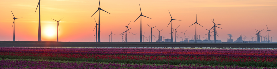 Lubricants for Wind Power