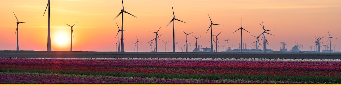 Lubricants for Wind Power