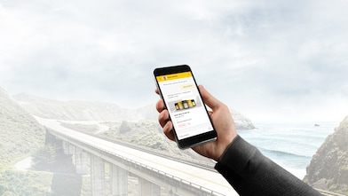 online lubechat device