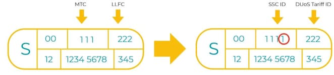 Diagram showing that MTC value 111 maps to SSC ID 111 and LLFC value 222 maps to DUoS Tariff ID 222 during data conversion.
