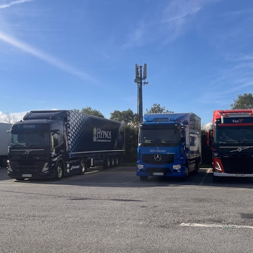 Three heavy goods trucks parked side by side in parking bays.