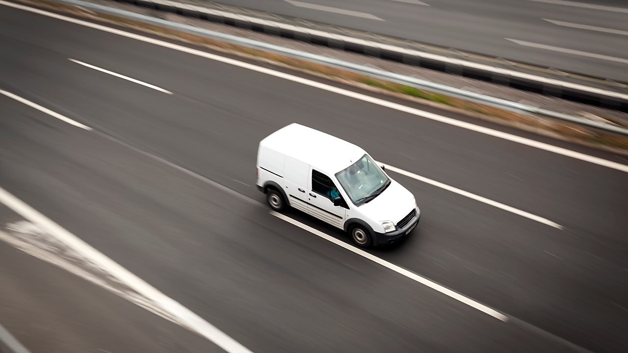 Woman holding plants