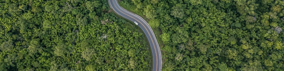 Overhead view of winding road cutting through dense green forest canopy with a single light-coloured vehicle.