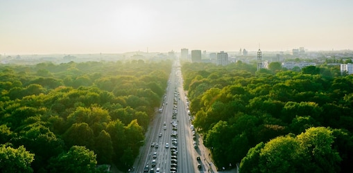 Aerial view of a long straight road through dense green parkland leading toward a distant city skyline in soft daylight.