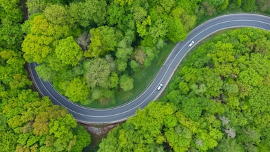Overhead view of a curved road winding through dense green forest with two cars travelling along it.