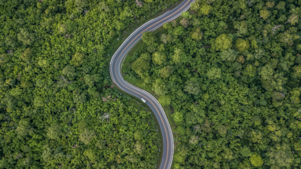 Overhead view of winding road cutting through dense green forest canopy with a single light-coloured vehicle.