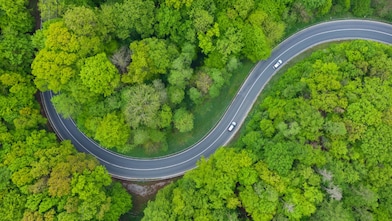Overhead view of a curved road winding through dense green forest with two cars travelling along it