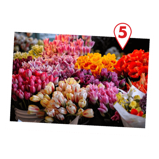 Columbia Road Flower Market, London