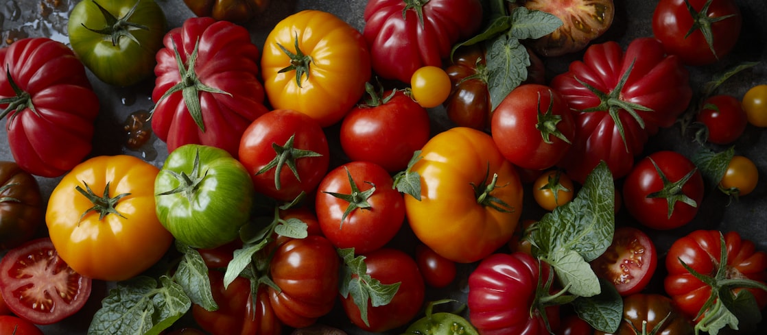 Tomatoes